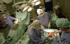 Transplant Time! (part&nbsp;1)